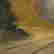 item-106852877=7