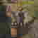 item-106860548=4