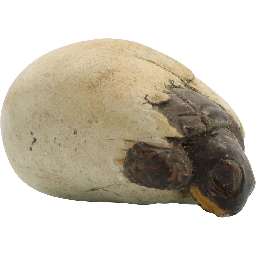 Folky Carving Signed McFarland, Turtle Coming Out Shell (1 of 4)