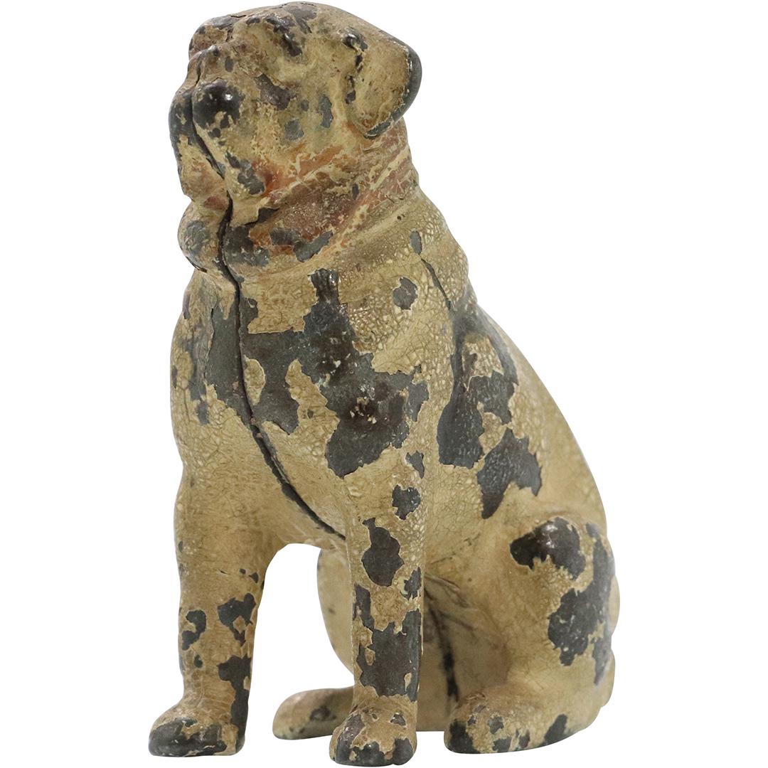 Antique Cast Iron PUG DOG Still Bank (1 of 6)