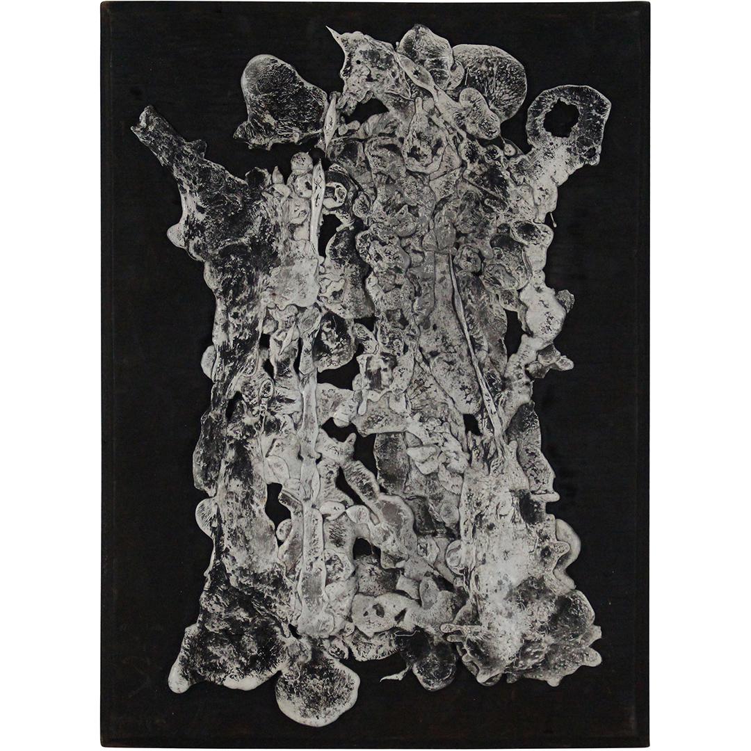 George Curtis 1965, Maine, Abstract Organic Sculpture: George Curtis 1965, Maine, Abstract Organic wall Sculpture. Signed and dated : G A Curits '65 ; Writing on verso: Periwinkle Park. Well listed American Artist. Size: 19 x 27. George A. Curtis is activ