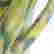 item-110628434=4