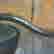 item-111011331=4