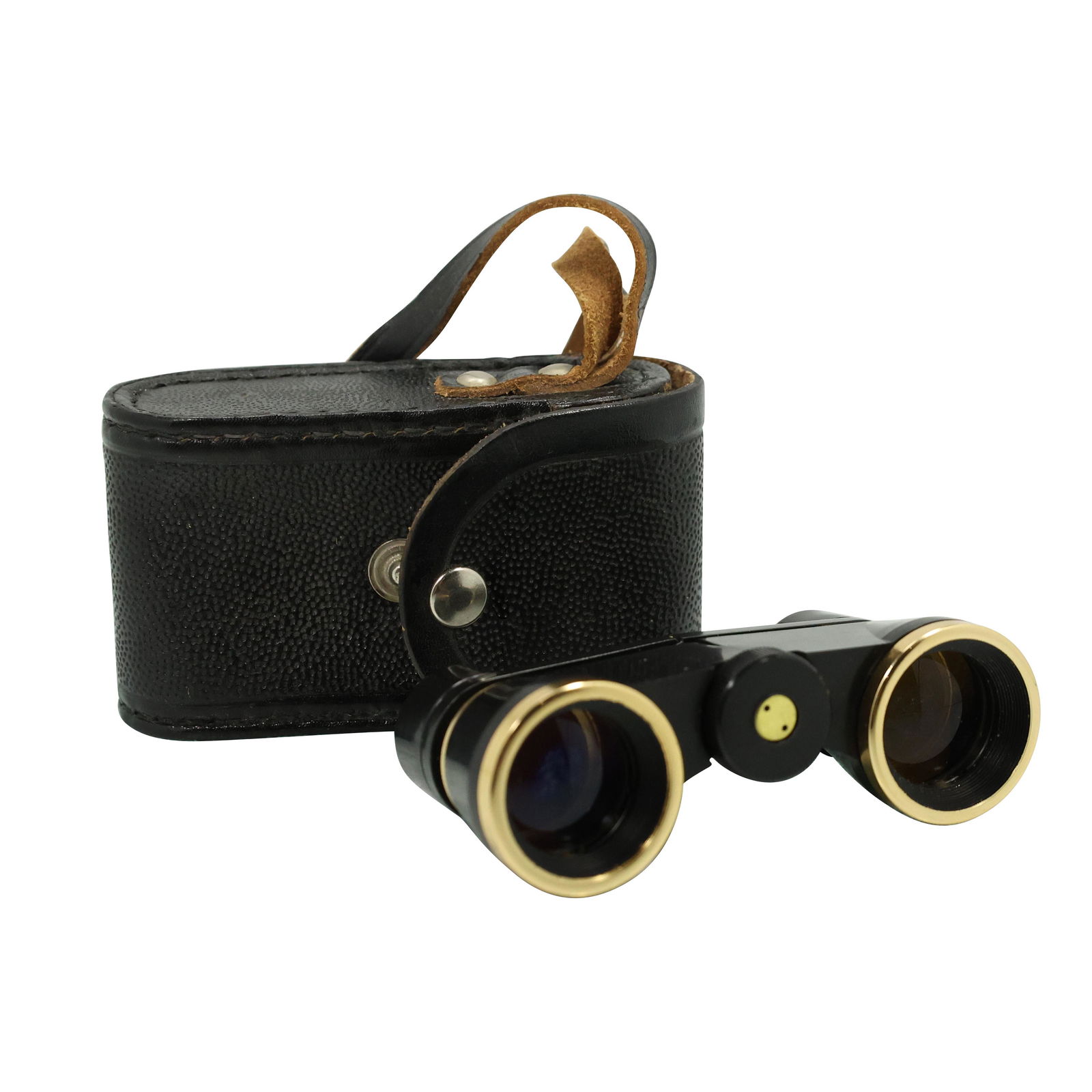 Opera Glasses in Leather Carrying Case (1 of 6)