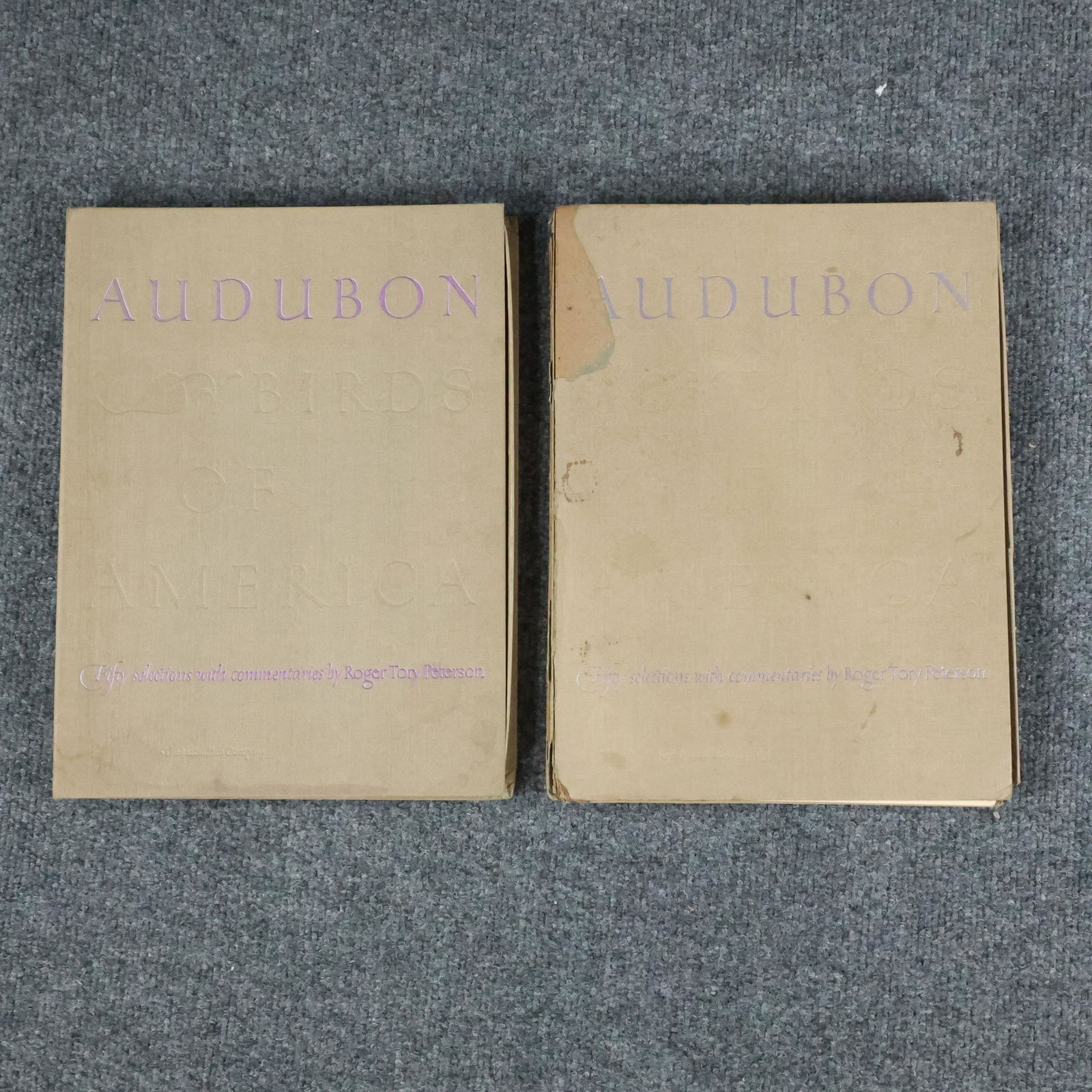 [2] Vintage AUDUBON Books - Fully Illustrated (1 of 15)