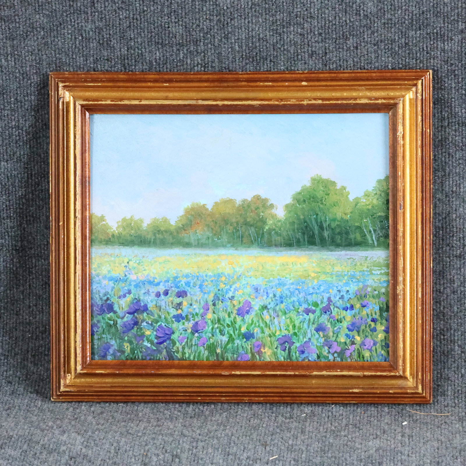 Sulmaz H Radvand, Oil/b Field of Wild Flowers with COA (1 of 8)