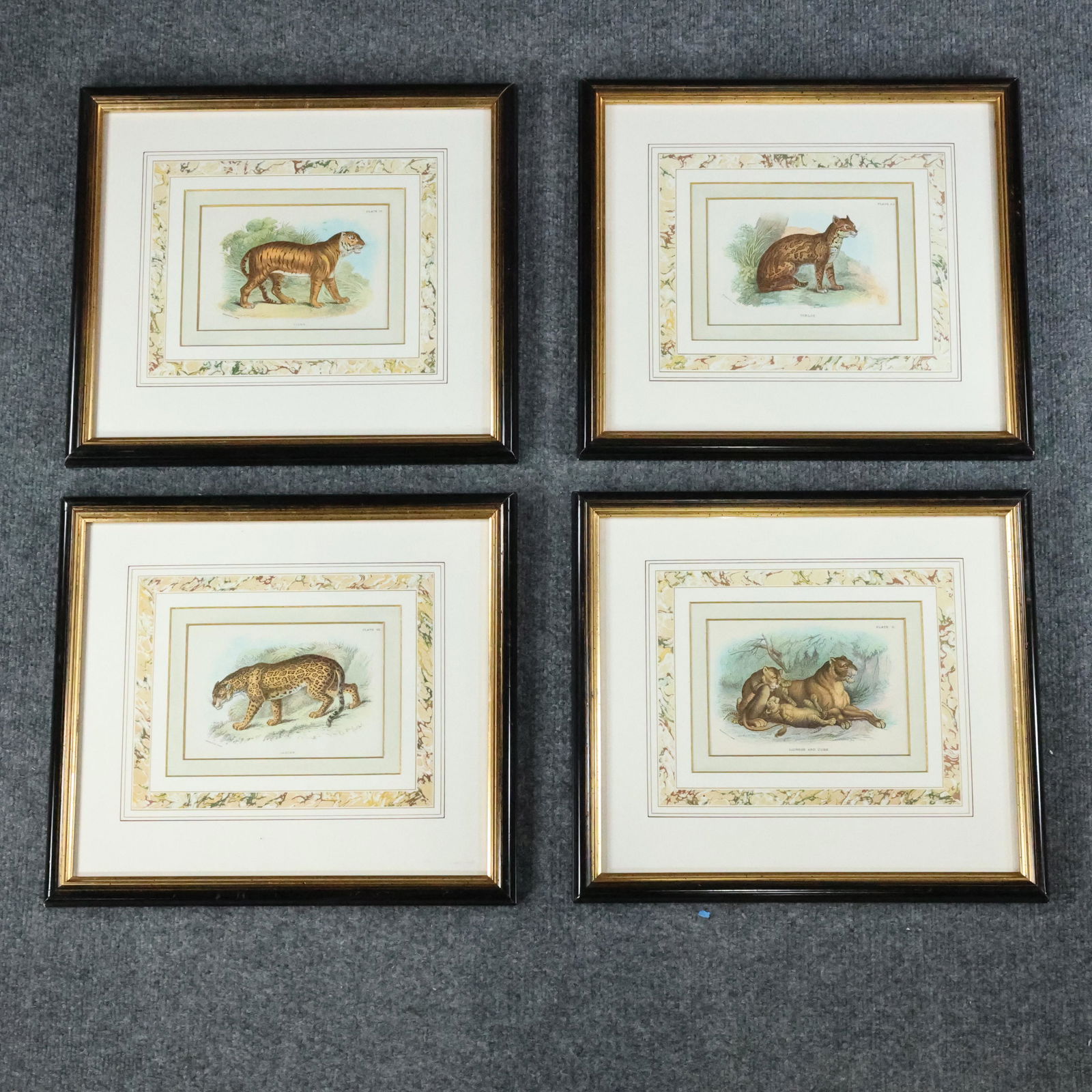 4 Assorted "Big Cats" Wyman & Sons Limited Lithographs (1 of 20)