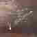 item-121034689=2