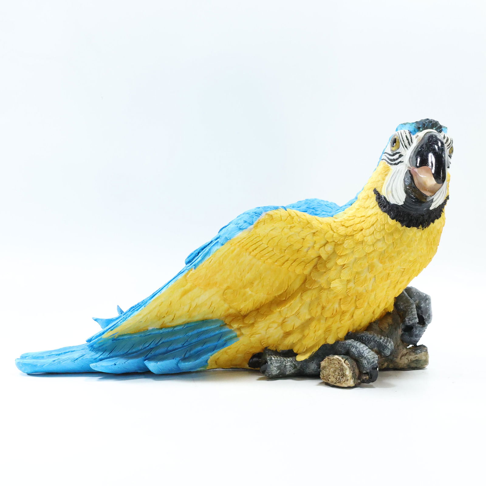 Macaw Bird Figure in Hard Resin Composition (1 of 6)