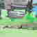 item-121382245=2