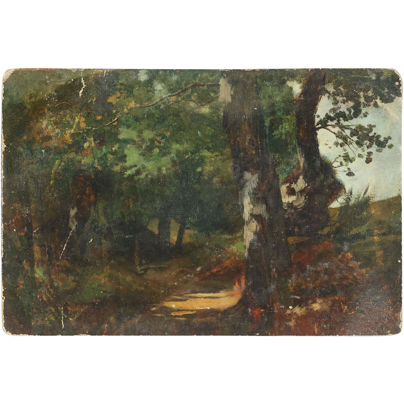 19th C. Barbizon School Wooded Landscape Oil Painting (1 of 8)