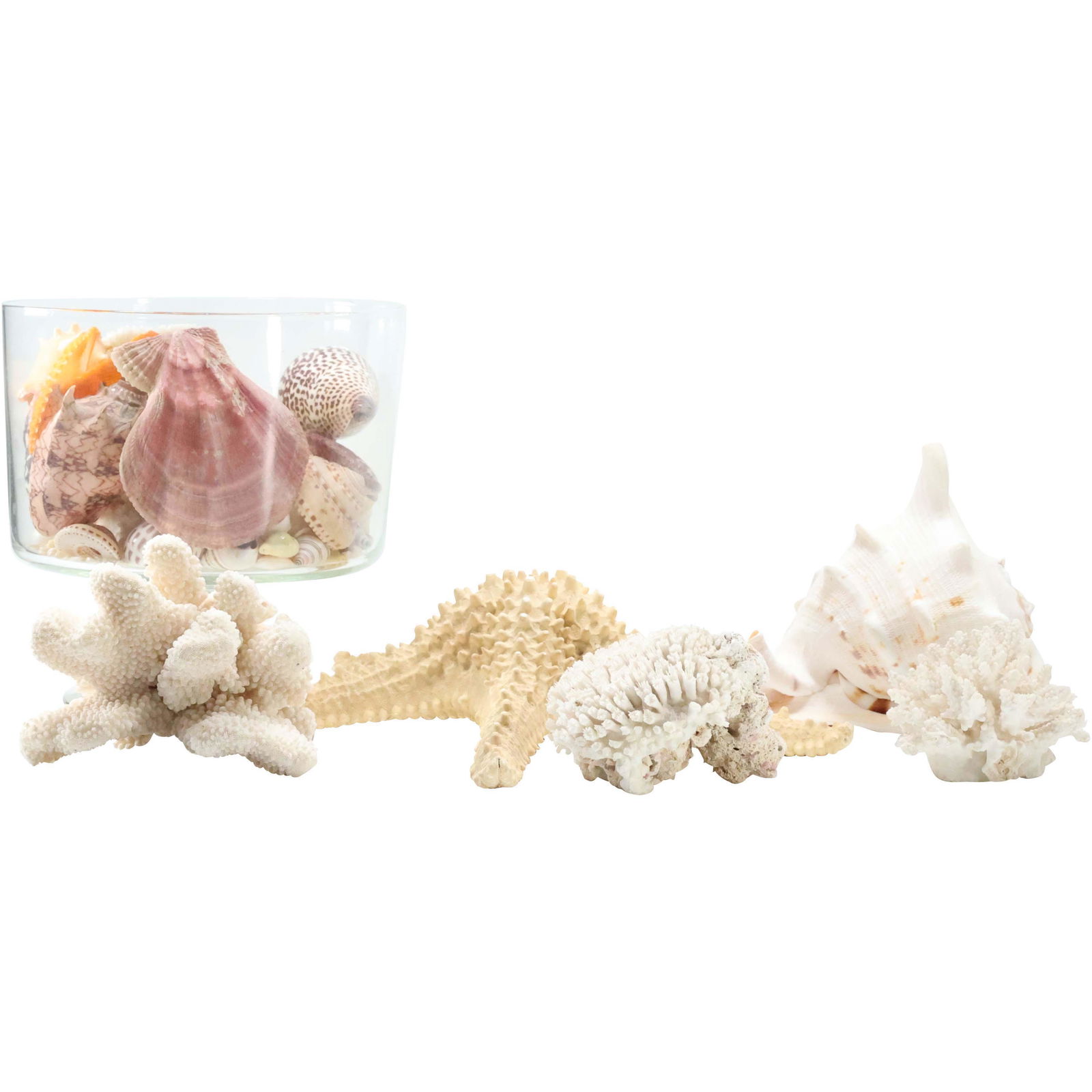 Bowl of Seashells and Star Fish Estate Collection (1 of 18)