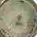 item-125229722=3