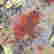 item-125760365=4