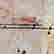 item-126016704=9