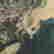 item-126016740=14