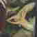 item-126016740=15