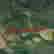 item-126016740=2