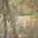 item-126016740=5
