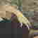 item-126016740=9