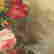 item-126016744=11