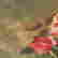 item-126016744=5