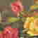 item-126016744=7