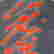 item-126103128=4