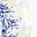 item-126103142=6