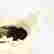item-126103904=2