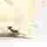 item-126103904=6