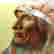 item-126251691=6