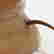 item-126402728=6