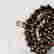 item-126405558=5