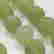 item-126409473=3