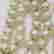 item-126615583=3