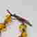 item-126615597=4
