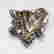 item-126824078=6