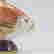 item-127888096=2