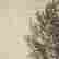 item-128251670=4