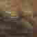 item-128254293=2