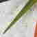 item-128254306=3