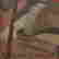 item-128256881=2