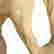 item-128948029=9