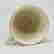 item-128955508=4