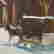 item-130434280=10