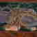 item-130434293=3