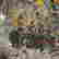 item-130434295=12