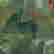 item-130434306=12