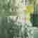 item-130434306=13